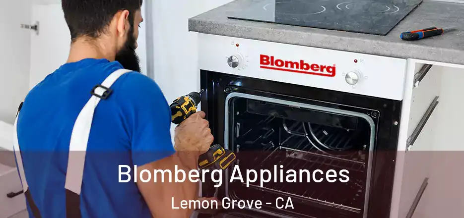 Blomberg Appliances Lemon Grove - CA