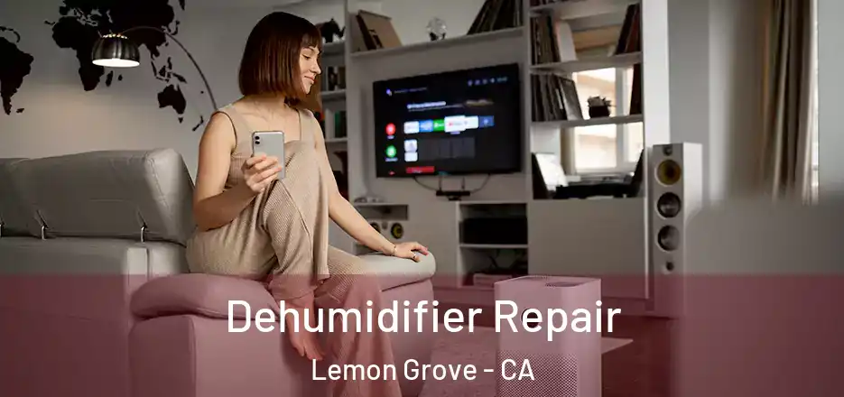 Dehumidifier Repair Lemon Grove - CA