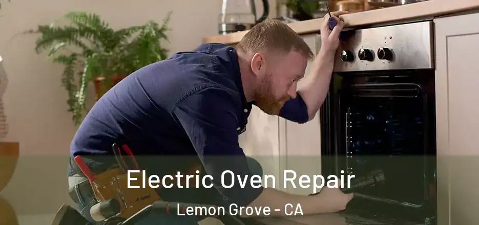 Electric Oven Repair Lemon Grove - CA