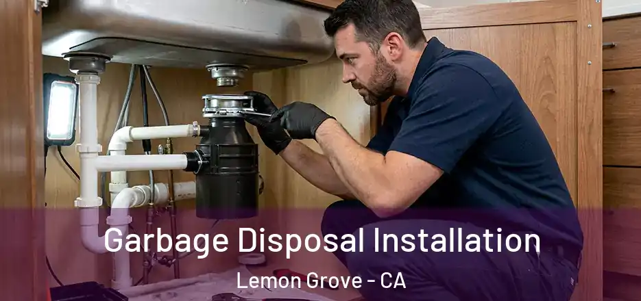 Garbage Disposal Installation Lemon Grove - CA