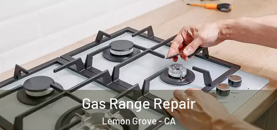 Gas Range Repair Lemon Grove - CA