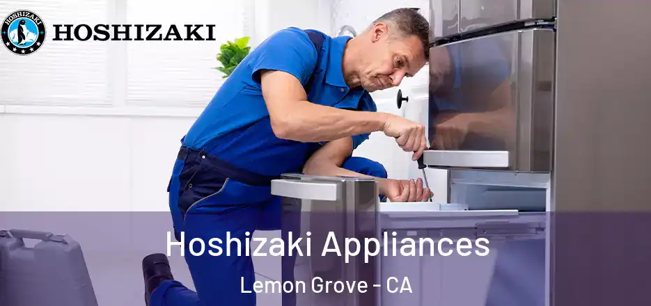 Hoshizaki Appliances Lemon Grove - CA