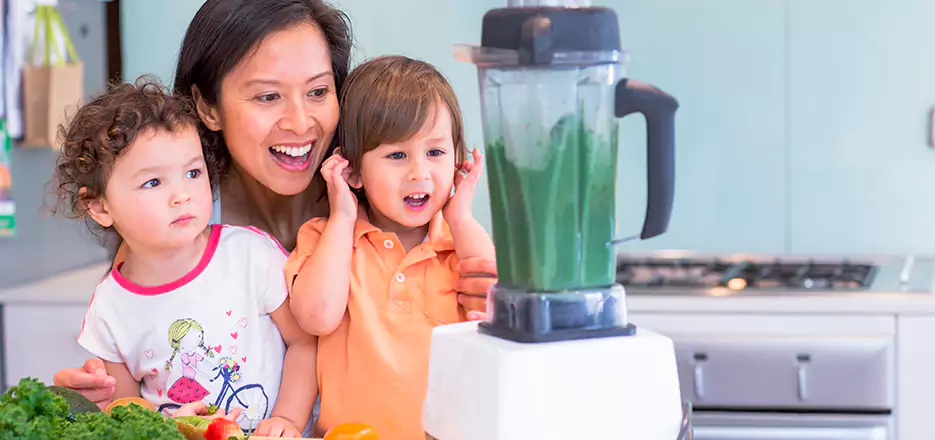Juicer and Mixer Blender Repair in Lemon Grove