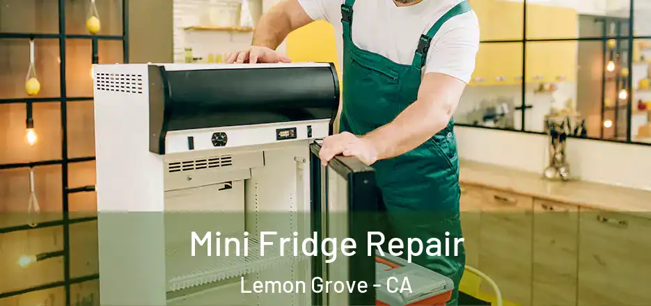 Mini Fridge Repair Lemon Grove - CA