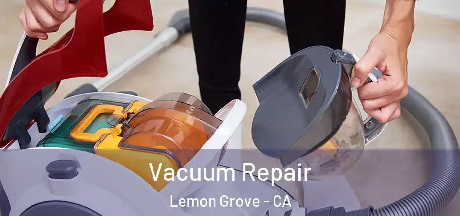 Vacuum Repair Lemon Grove - CA